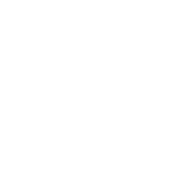 Amazon Icon