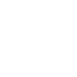 Trademark Icon